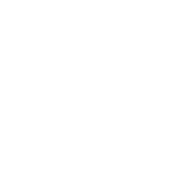 1 E